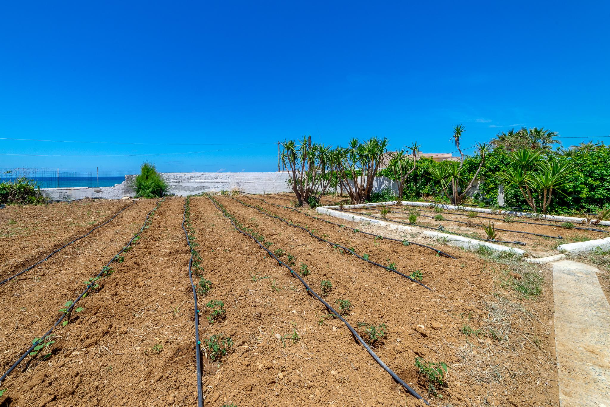 Blue Dream Hotel Stavromenos  ภายนอก รูปภาพ